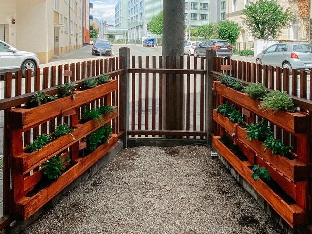 Zuwachs im Paradies. 🌾💛