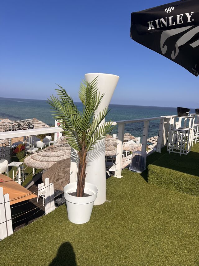 Summer 2026 sky bar 