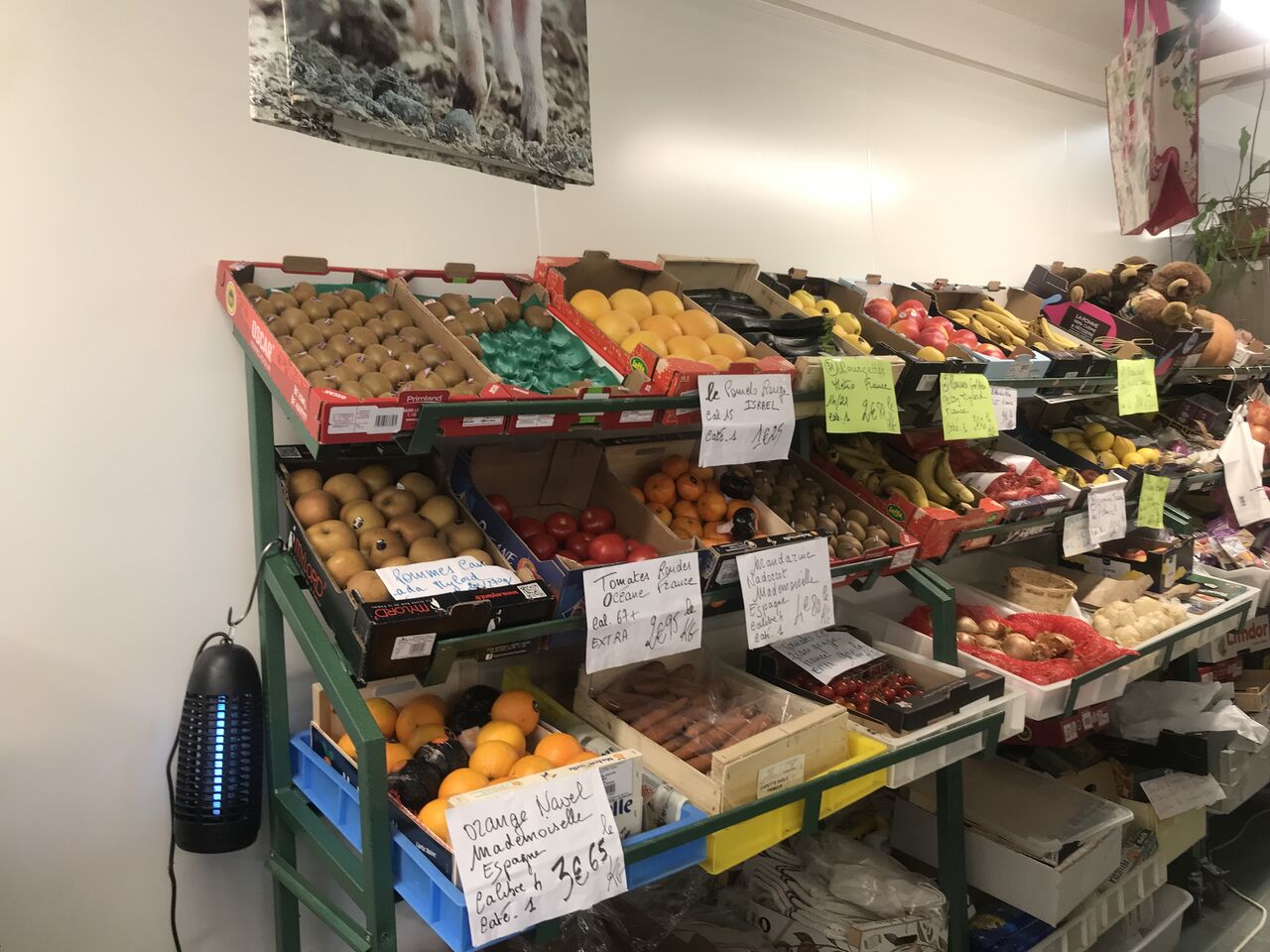 LES FRUITS ET LEGUMES