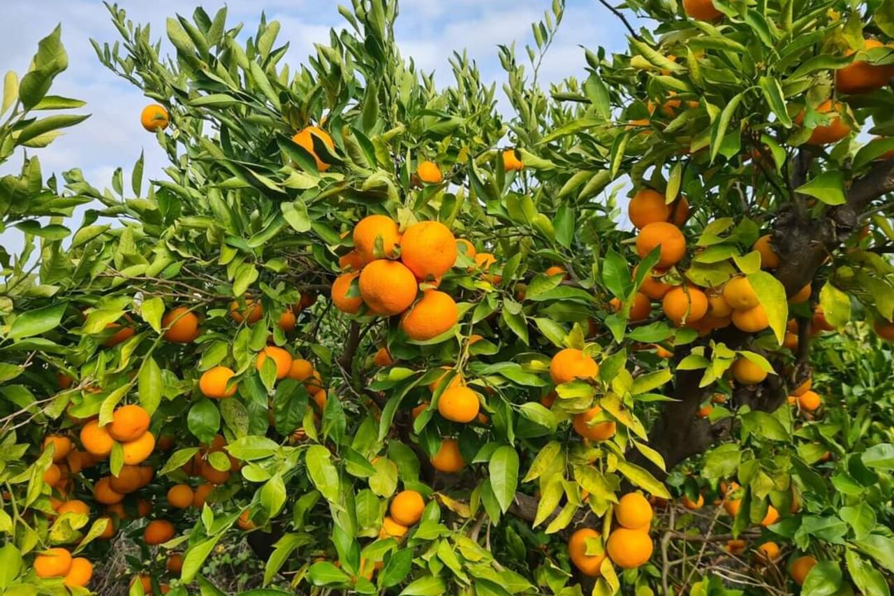 Nalazimo se i u Zagrebu!