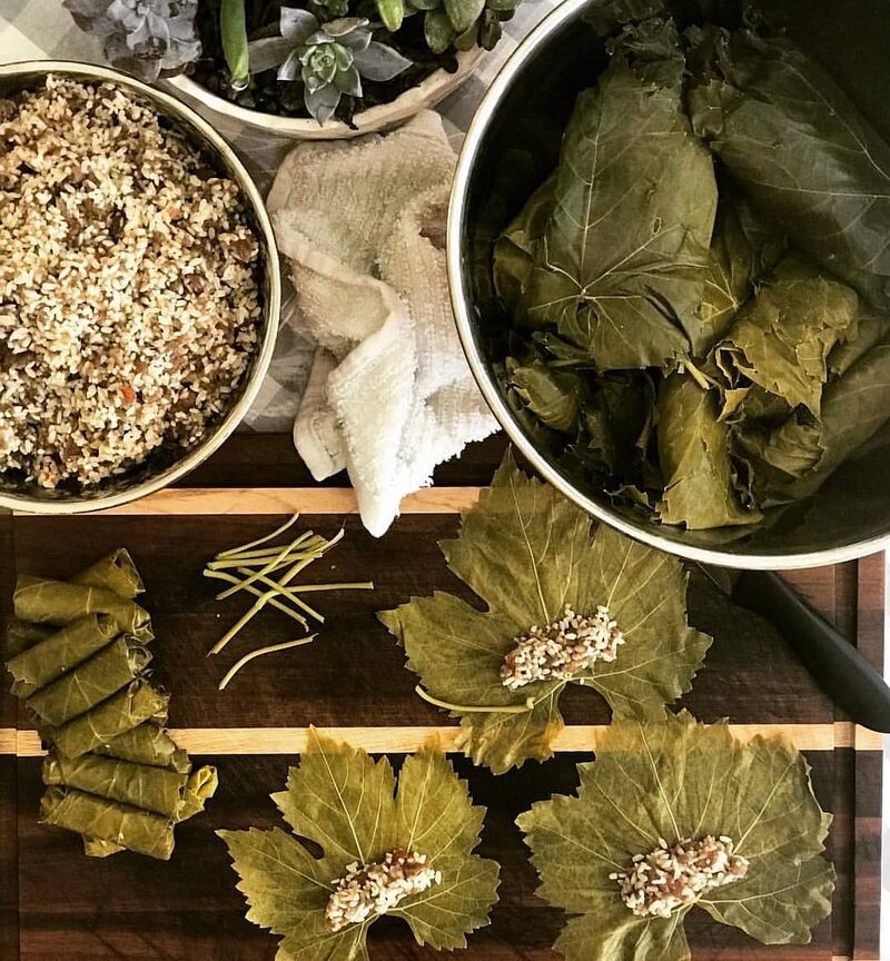 Feuilles de vigne