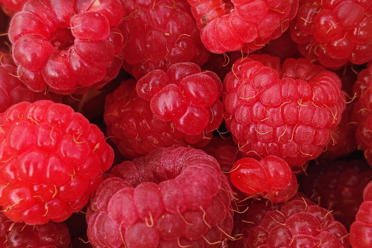 Bio, local et de saison