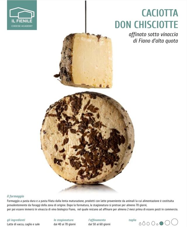 Caciotta Don Chisciotte