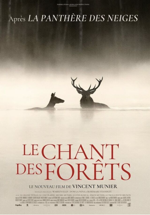 LE CHANT DES FORETS - 1h36 - Tous Publics