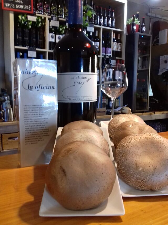 setas portobello gigantes