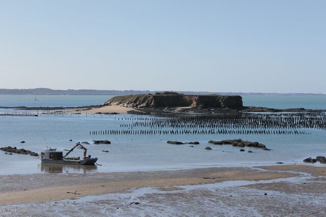 Plage de la Pointe du Bile - Un des sites sur lequel nous possédons des concessions de Moules de Bouchot