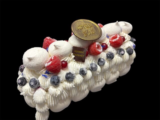 BUCHE GLACEE VANILLE FRUITS ROUGES