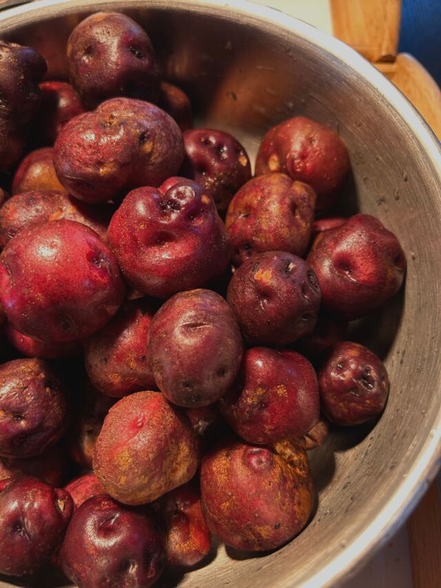 Papas antiguas canarias