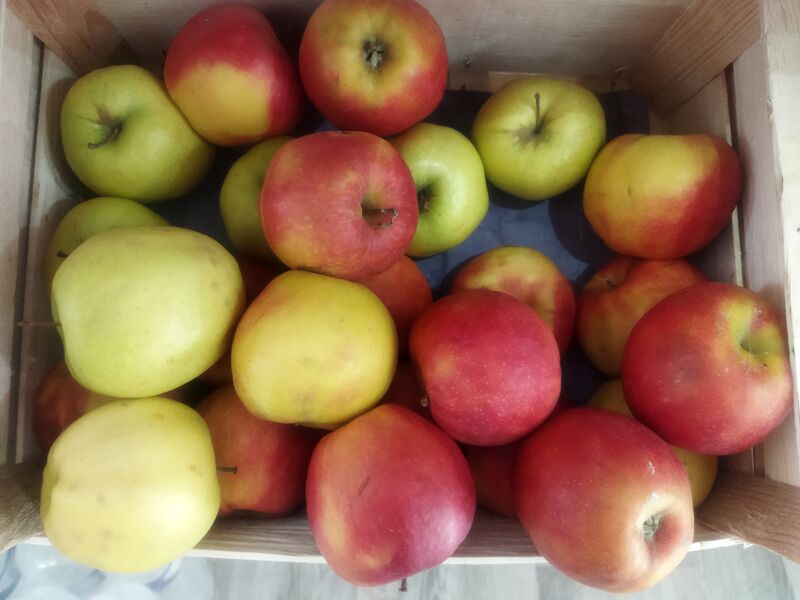 Pommes jonagold 2.00€ kg 