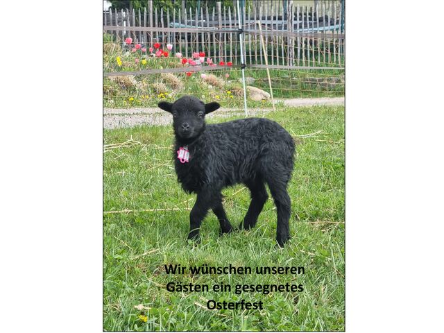 Wir wünschen allen unseren Gästen ein gesegnetes Osterfest. Ab Dienstag, den 3.5.22 haben wir die Rosenterrasse wieder geöffnet.