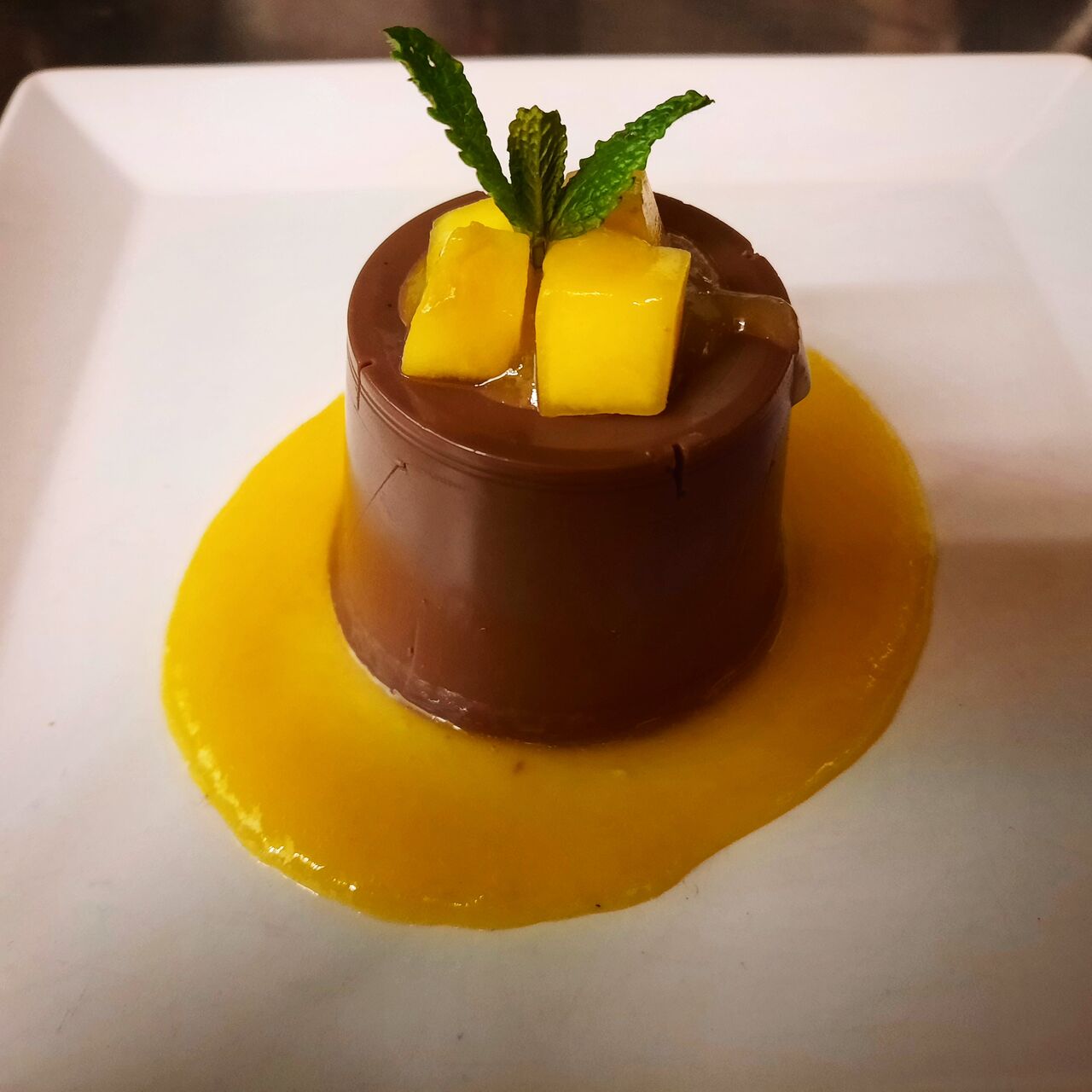 Panna cotta al cioccolato auf Mangosauce 