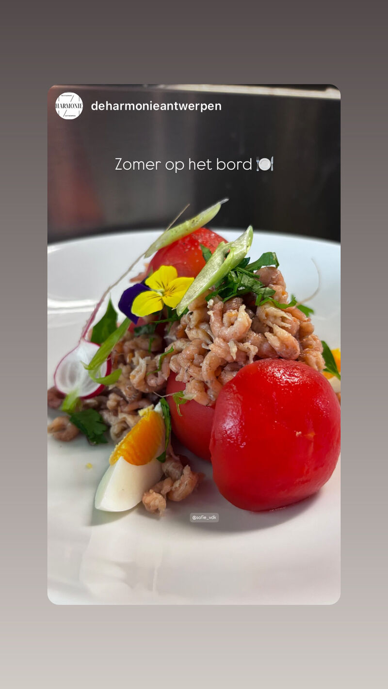 Tomaat garnaal