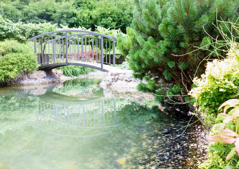 Hotel Da Rita. Il giardino e gli esterni