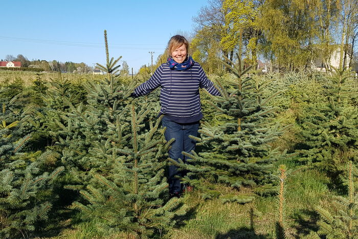 Vánoční stromky Plesná - Jiří Ryba
