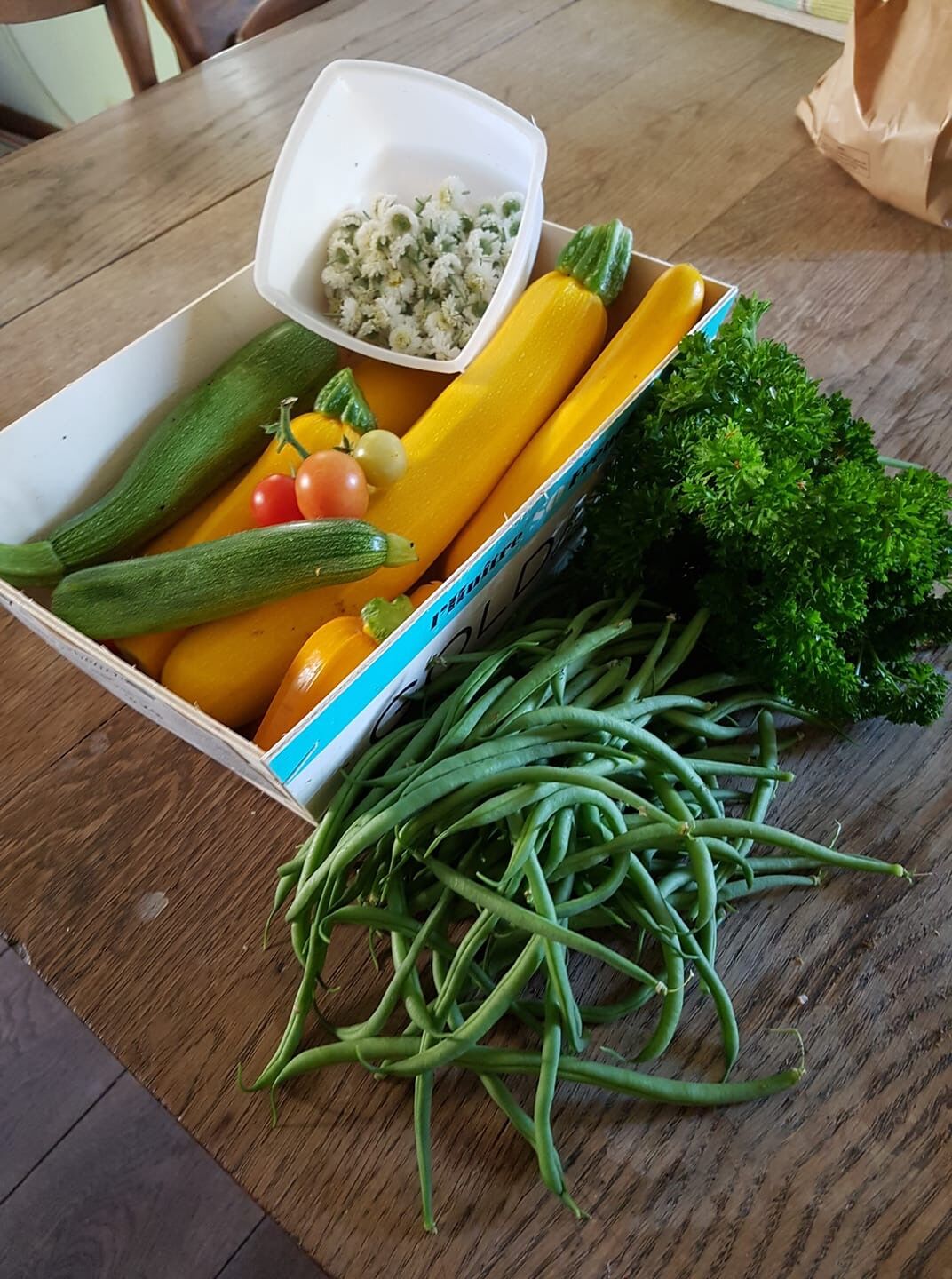 Légumes du potager