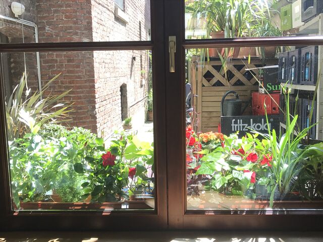 Blick in den Hinterhof