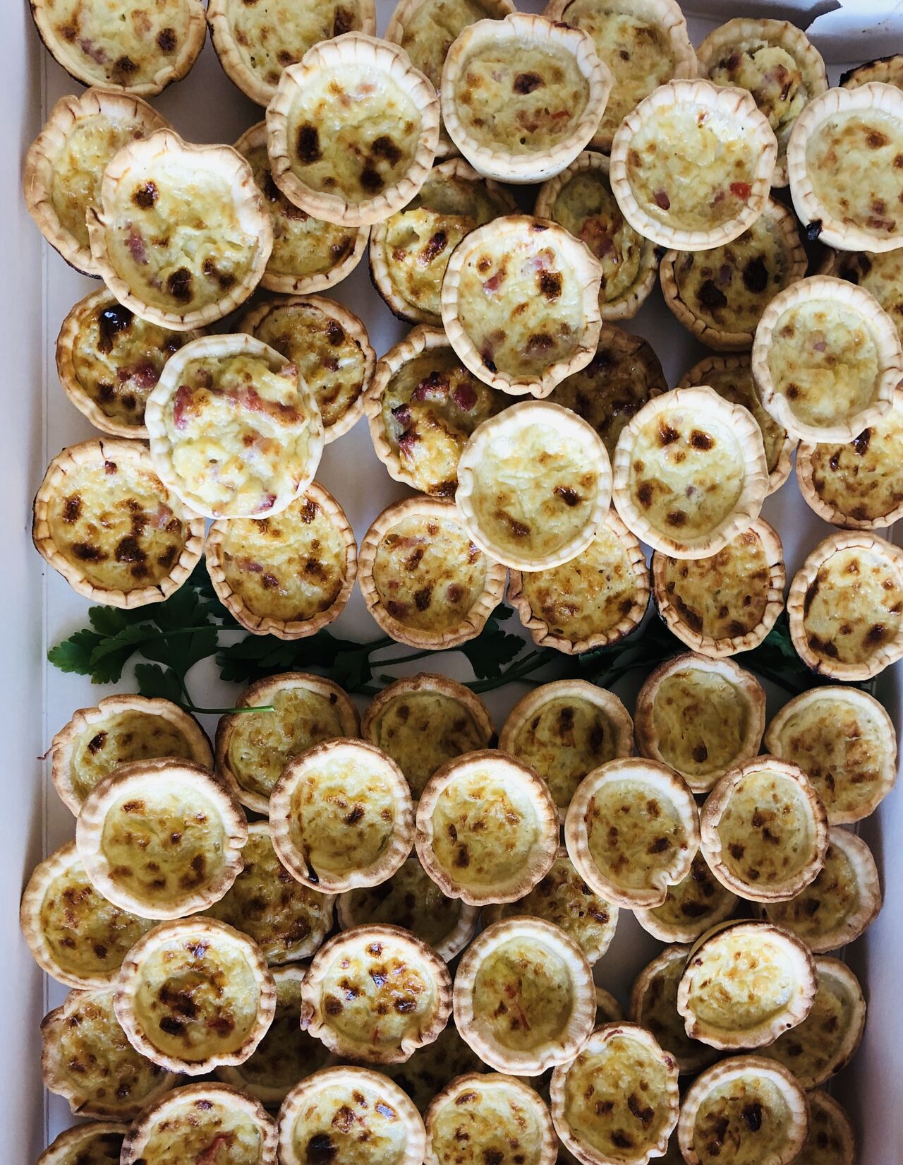 Minis quiche thon et lardon