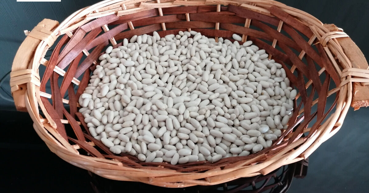 Haricots lingots - 450gr - 2,80€