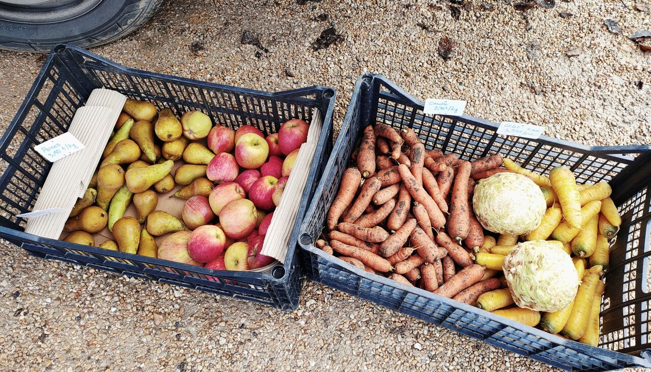 Fruits et légumes de saison 