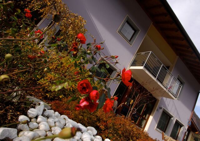 Hotel Da Rita. Il giardino e gli esterni