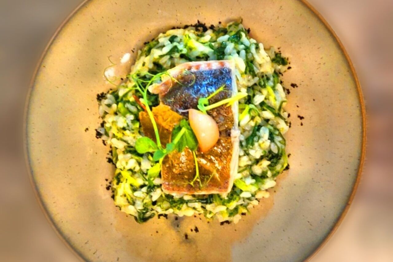 Cize - Food & Wine - Santo Tirso | Mediterranean cuisine near me