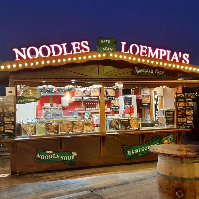 Winter in het park Oostende