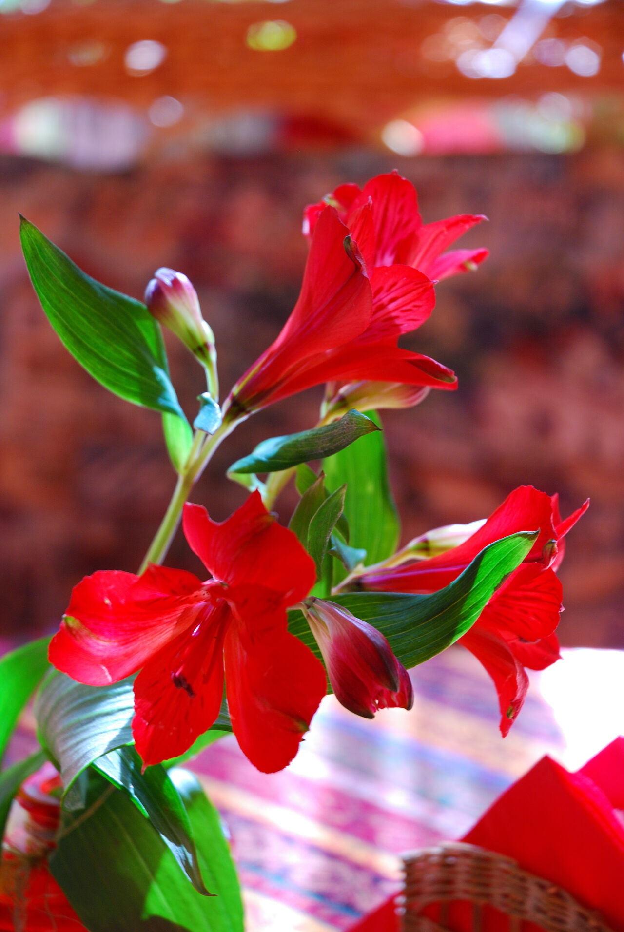 Cafe des fleurs