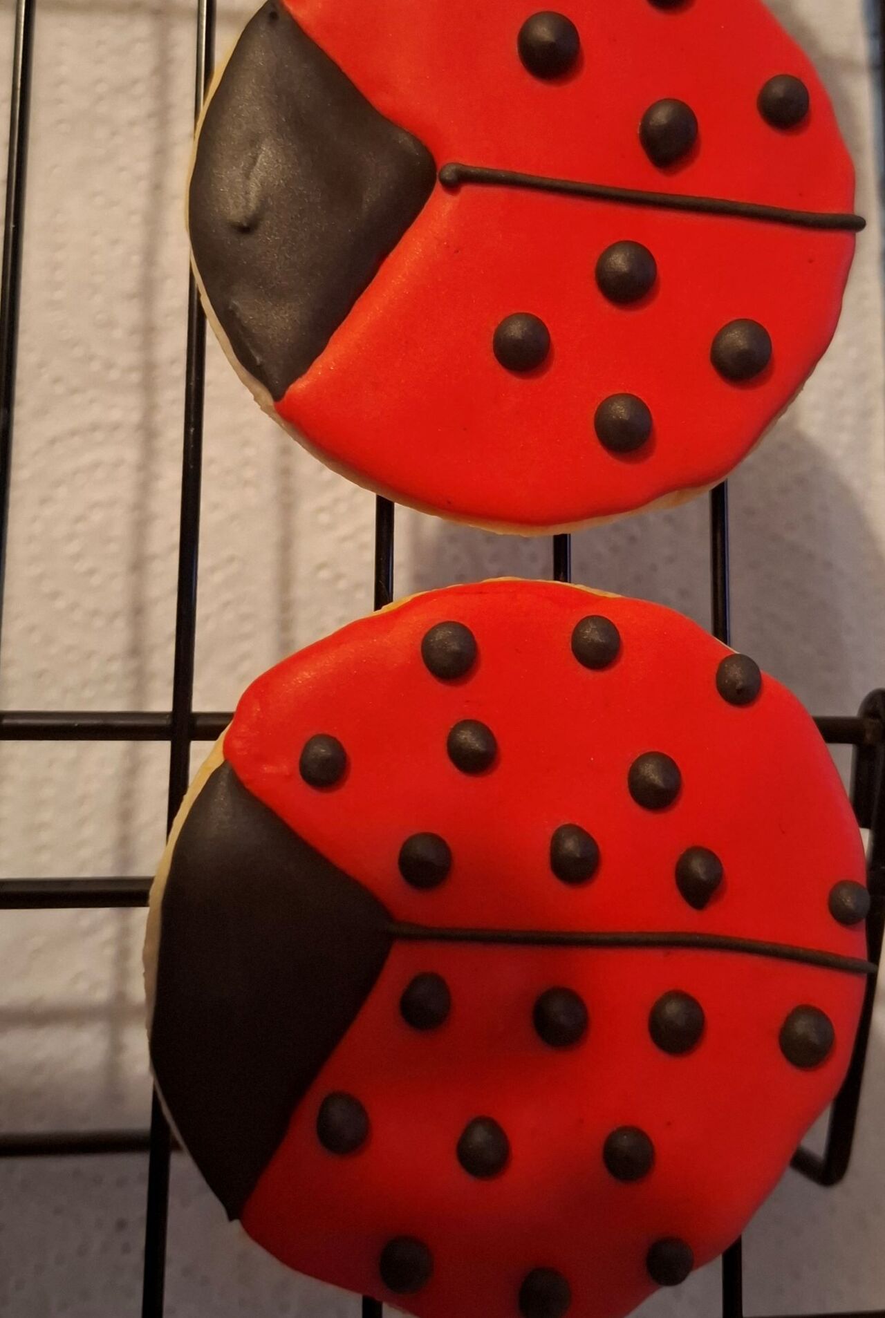 Coccinelle