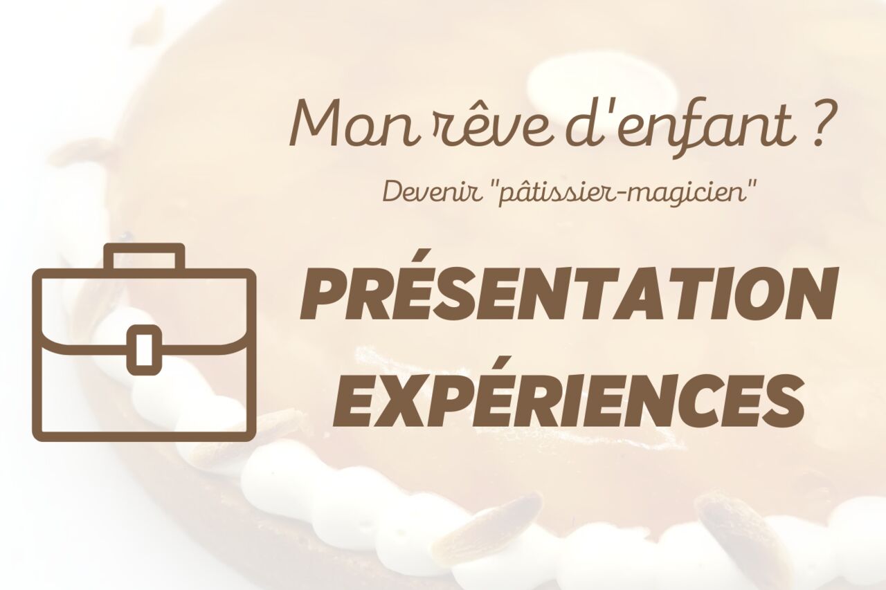 Parcours professionnel (suite)