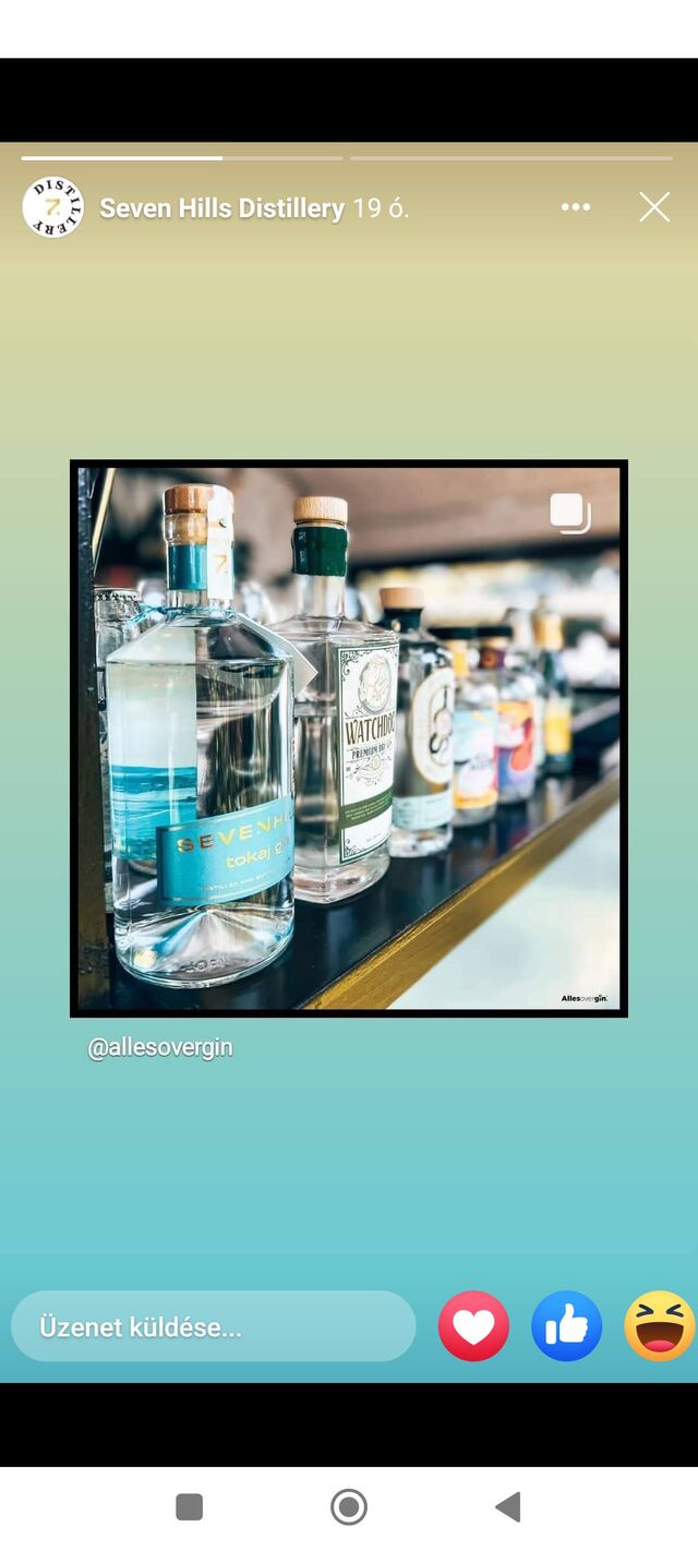 Magyar Gin kínálatunk