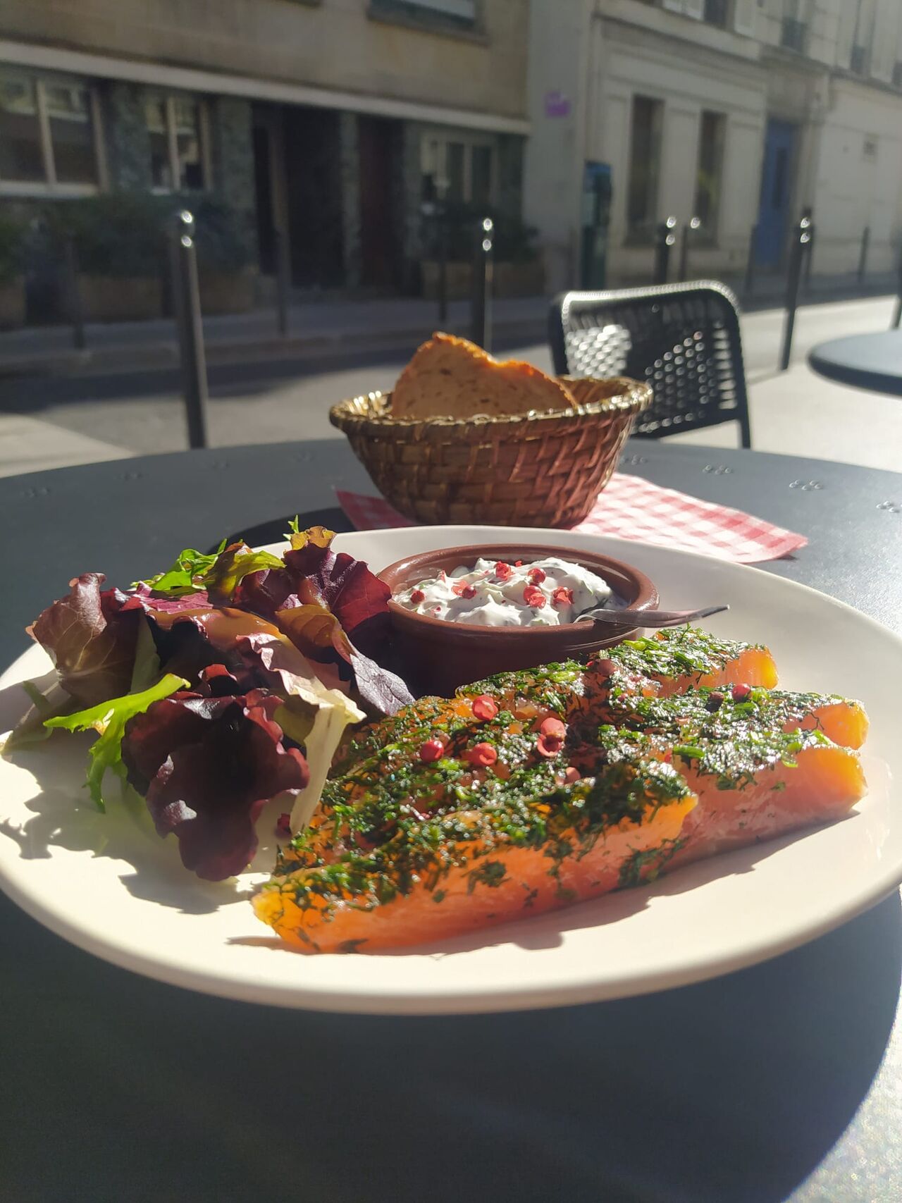 Gravlax de saumon, sauce au yaourt grec