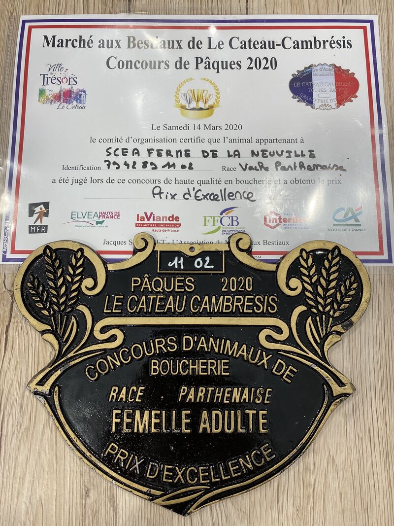 Différents prix et plaques de concours