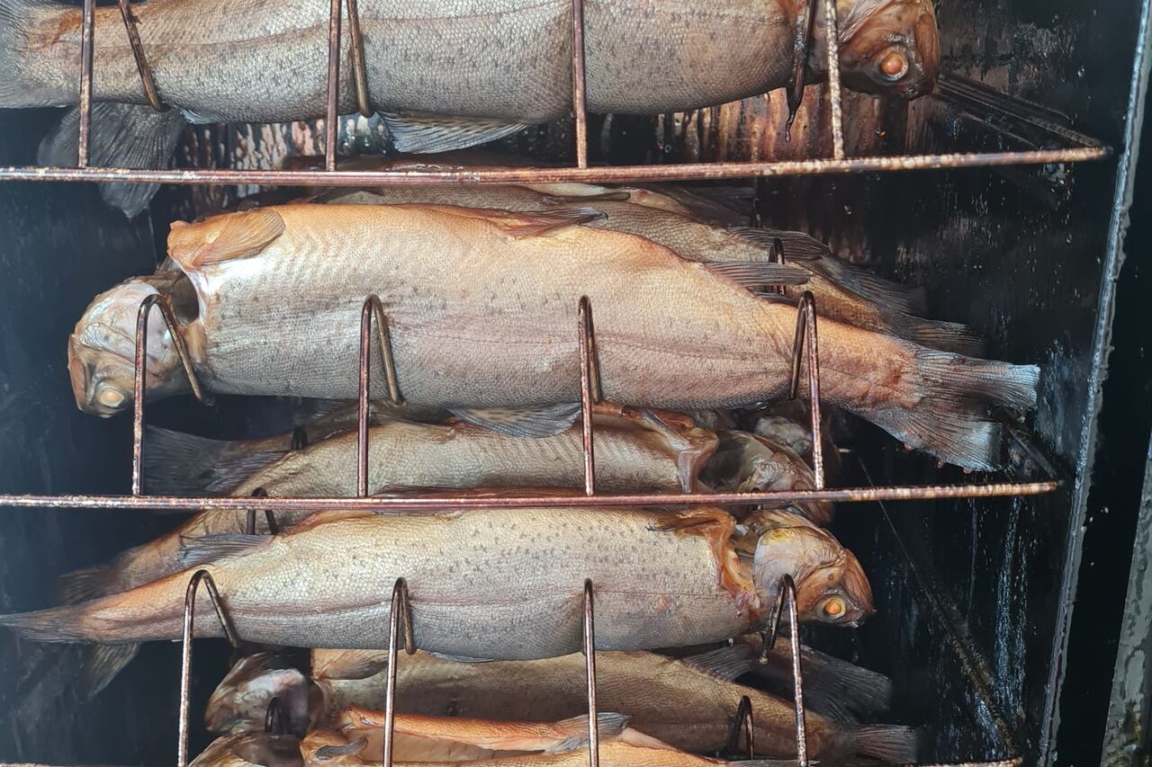 geräucherte Forelle