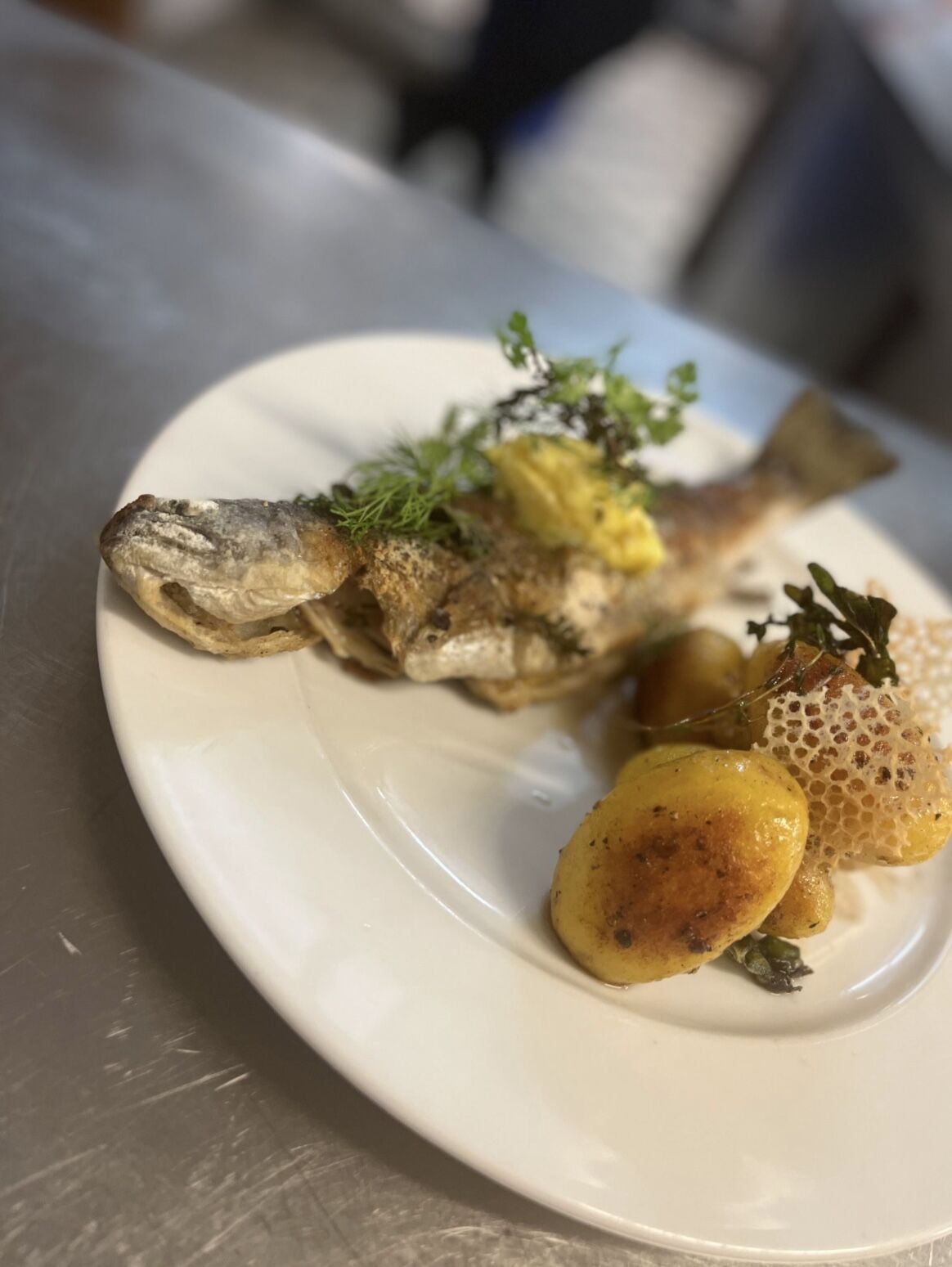 Forelle Müllerin Art