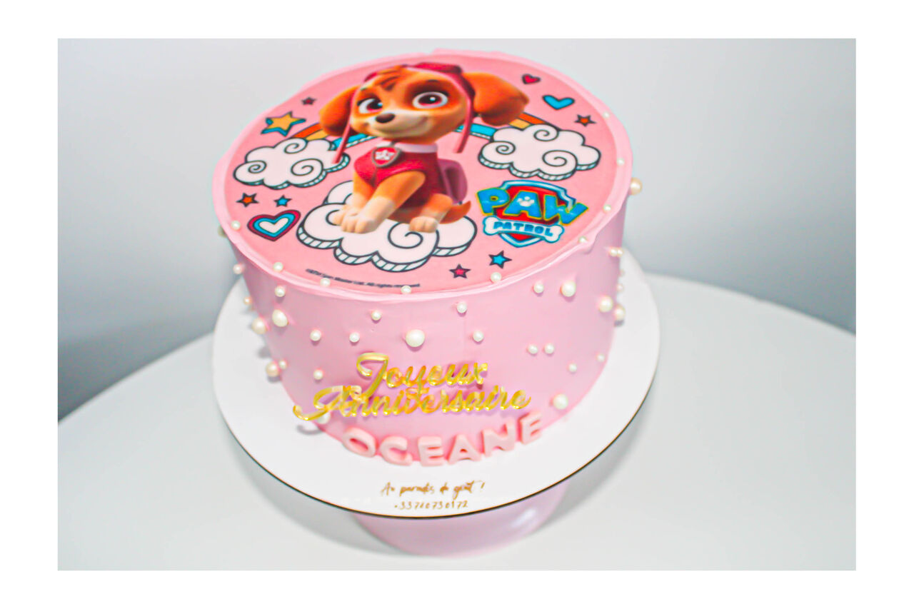 Gateau pat patrouille