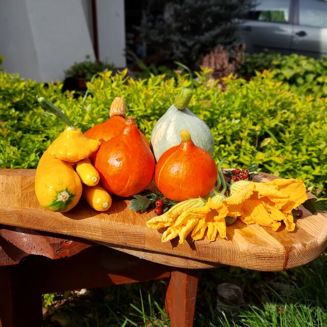 jarska - kuchnia kolorowa, pachnąca i lekka 