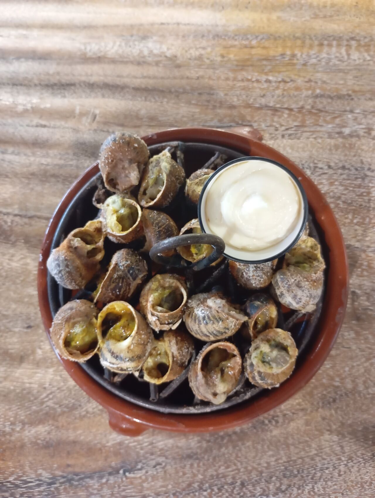 Escargots Catalan