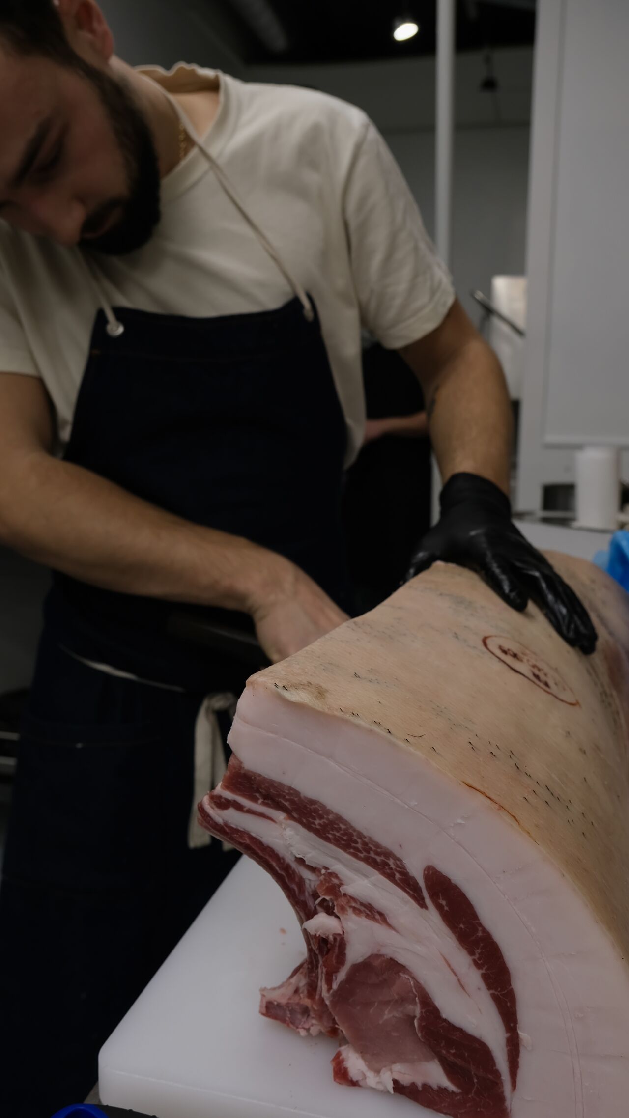 Les côtes de Noir de Bigorre