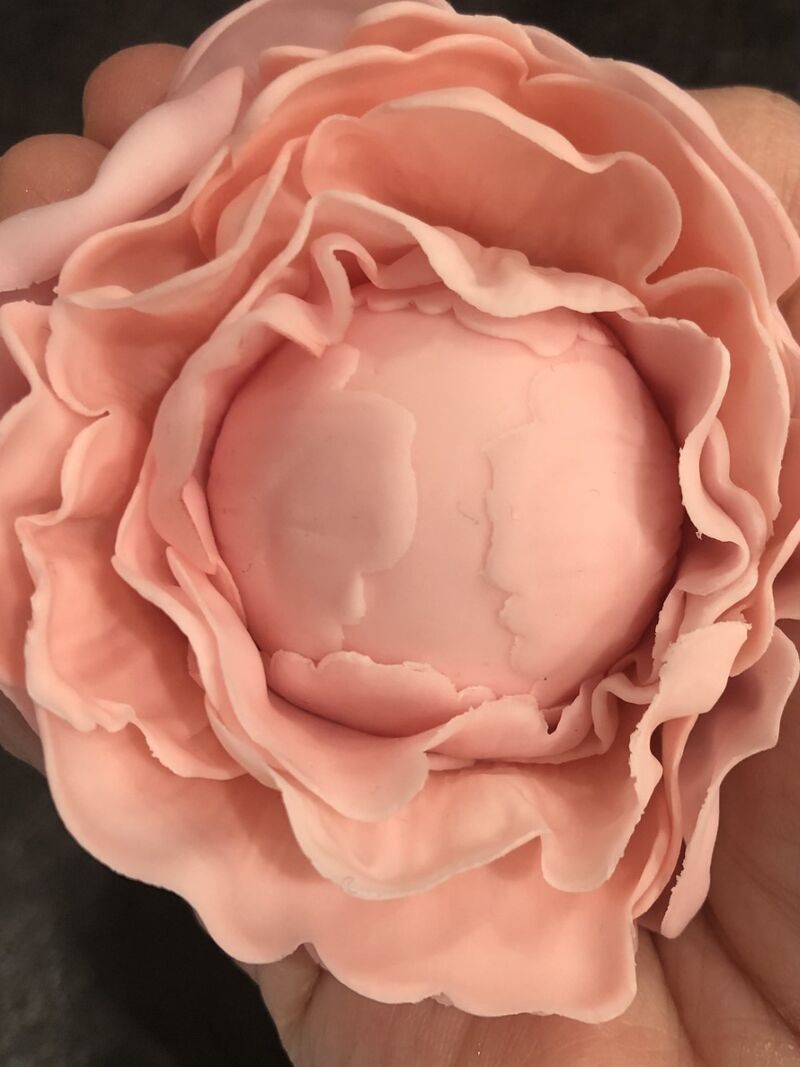 Fleur de pivoine fermée en pâte à sucre .