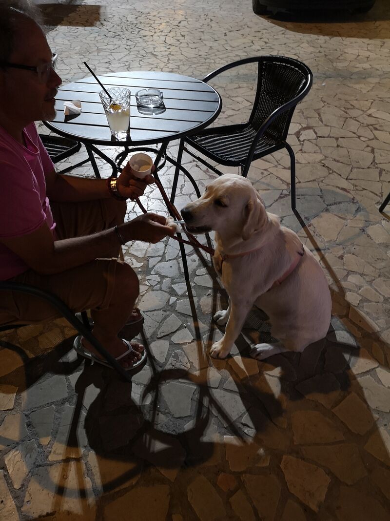 Gli amici a 4 zampe sono davvero i benvenuti... ognuno avrà una gustosa ricompensa per essere passato a trovarci....