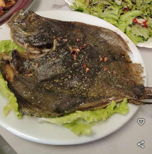 RODABALLO