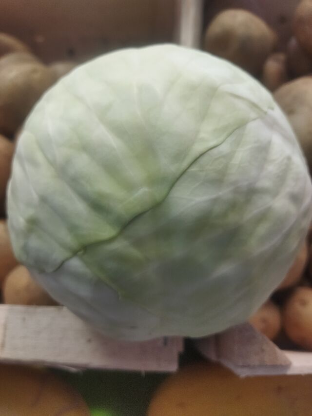 Choux vert 2.€ pce