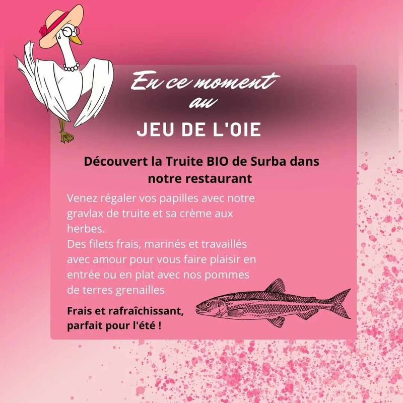 Truite de Surba