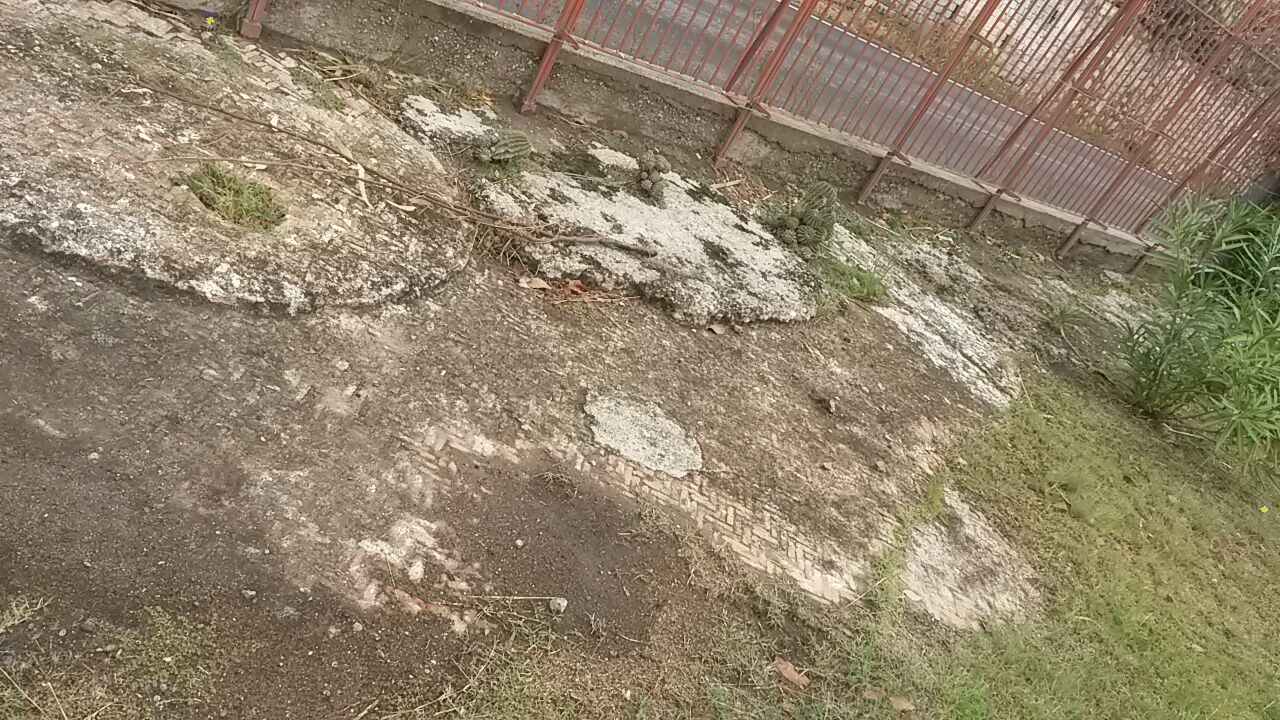 Il tratto di Opus Spicatum