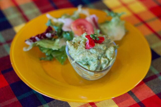 Féroce d'Avocat à la Mangue