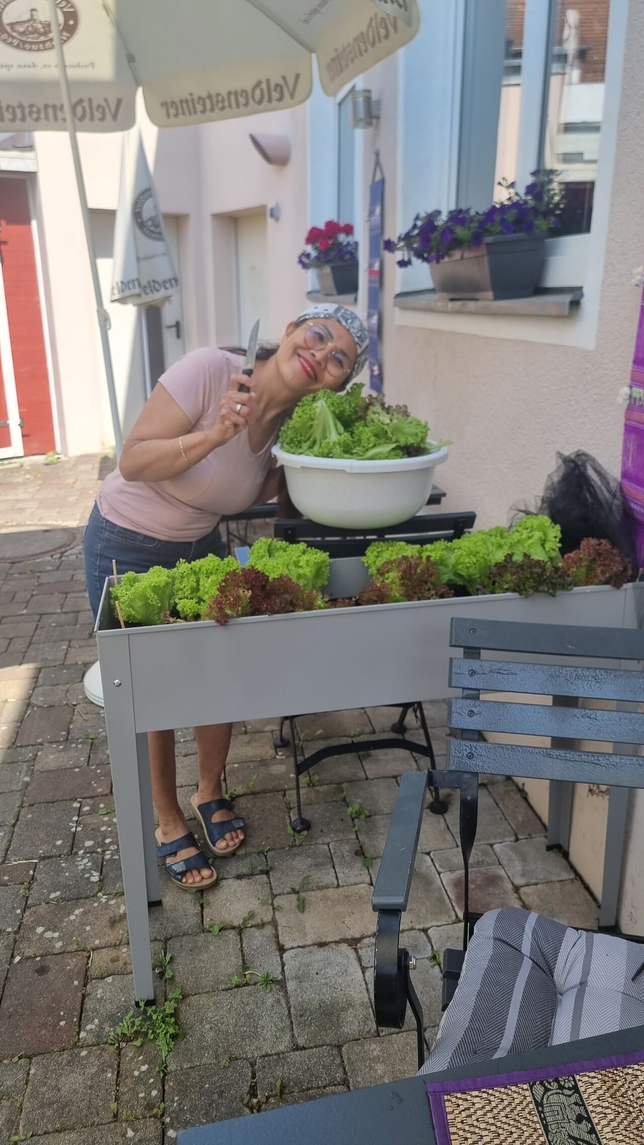 Frischer Salat Eigenanbau 