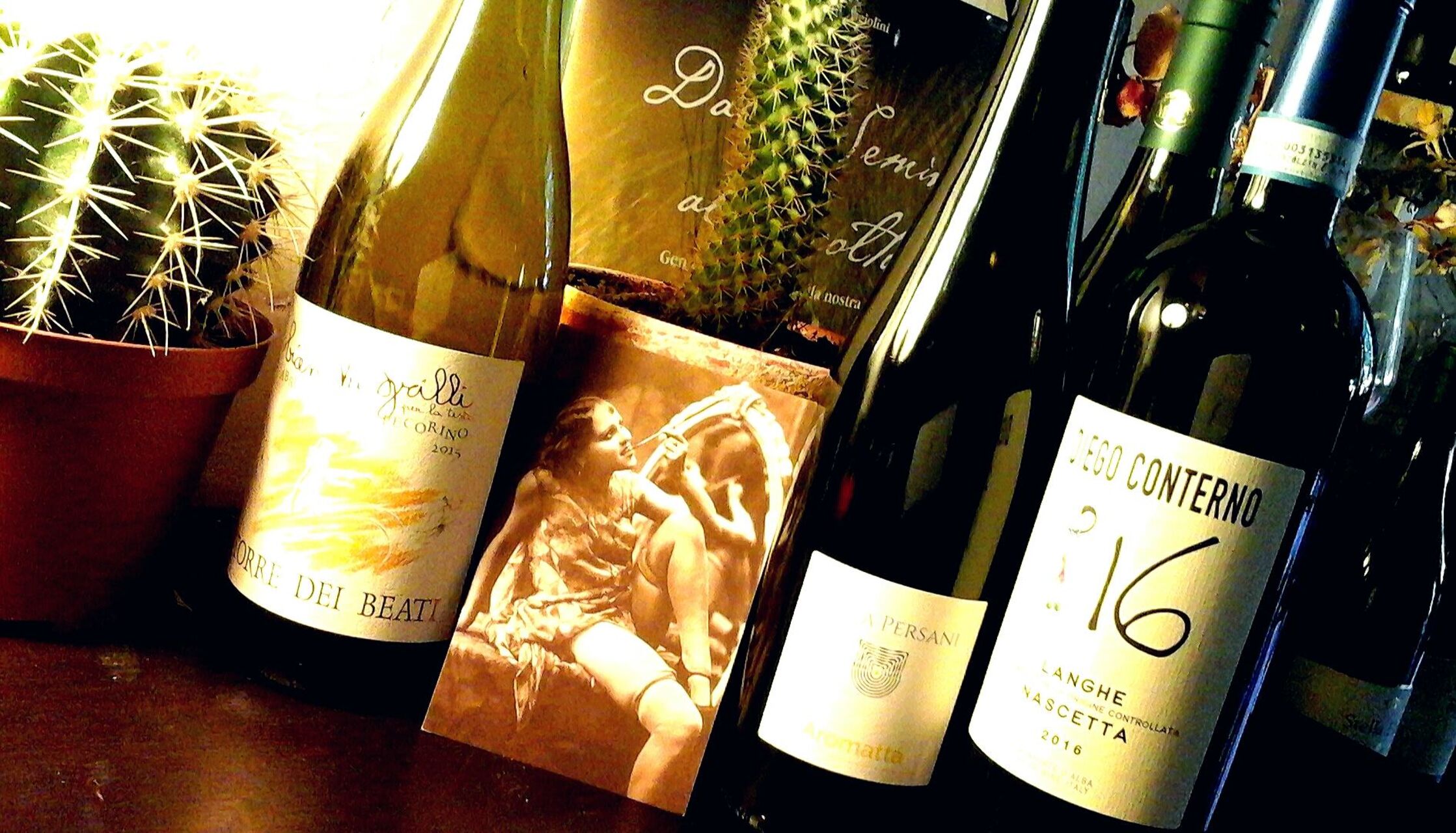 SELEZIONE VINI