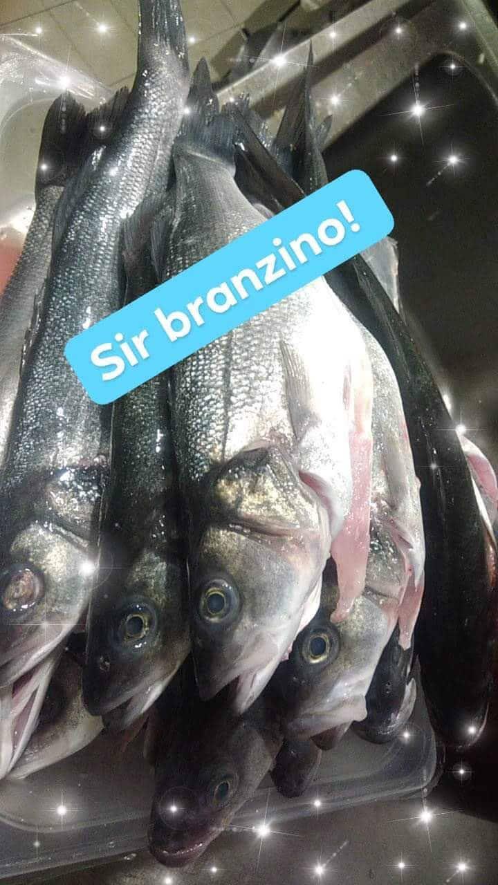 Branzini freschi