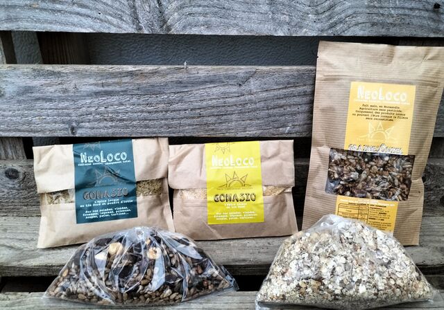 Graines Apéro, épices - Néoloco 