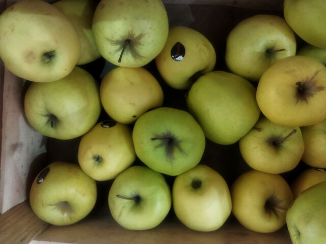 Pommes golden 2.30€ kg 